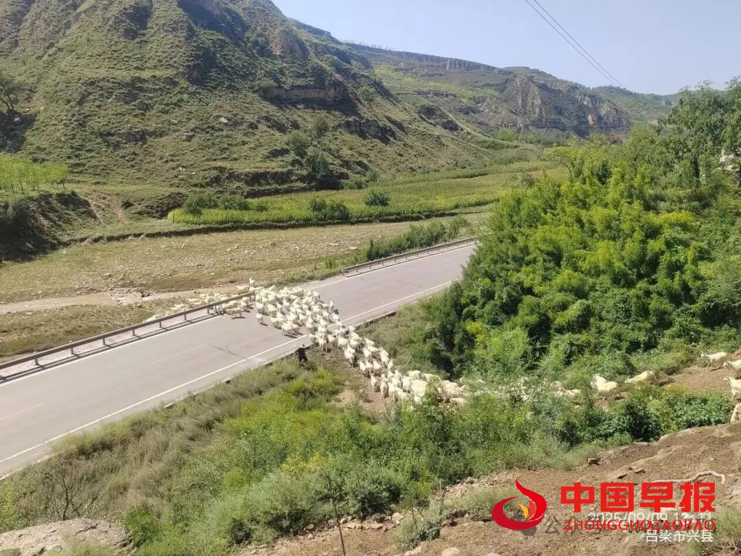 1760085814214332.jpg 图片02.jpg