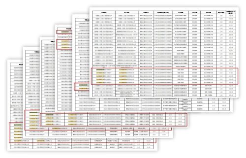 1763452199167262.jpeg 2.jpeg