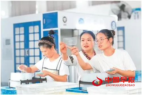 1766459615132016.png 3.webp.png